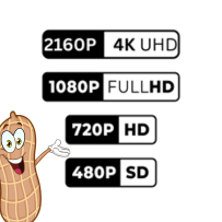 PNUT%20Downloader